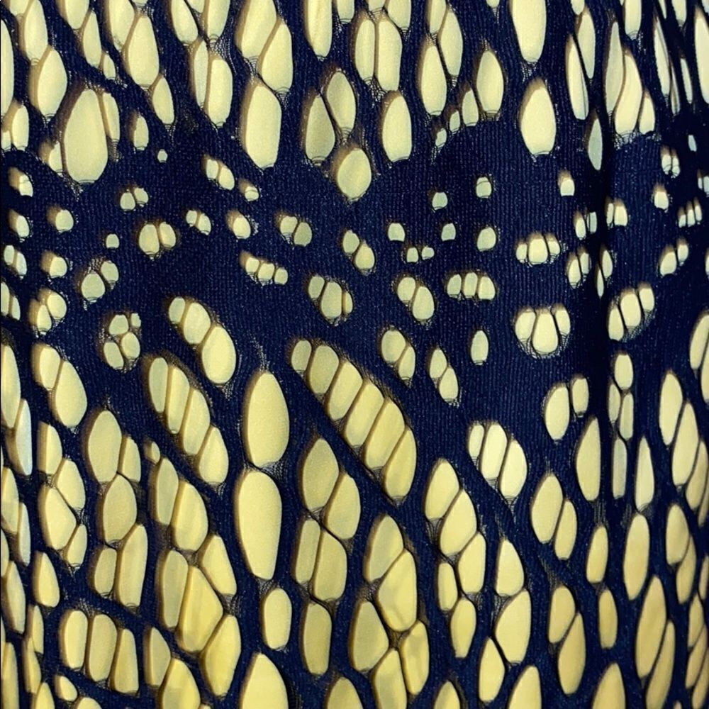 Robert Rodriguez Lace Overlay Mini Skirt - Picture 4 of 9